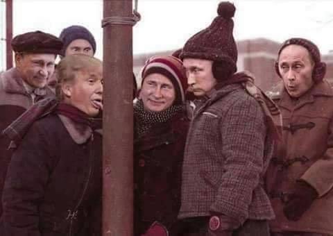 C'mon, Donnie....you first!!