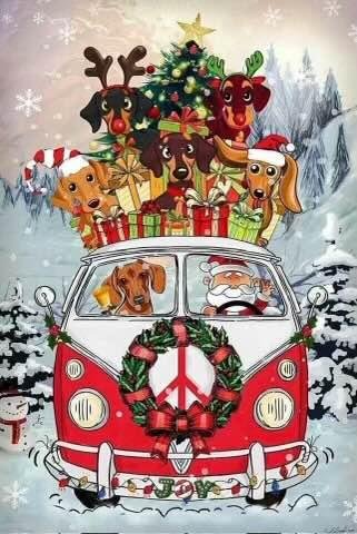 For my Dachshund lovers! Merry Christmas!🎅🏼