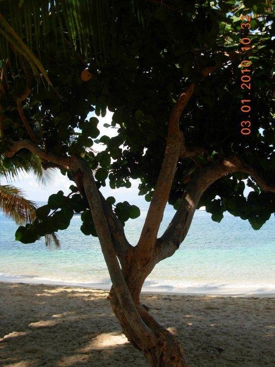 Stephen Little's album, 2010 March BVI