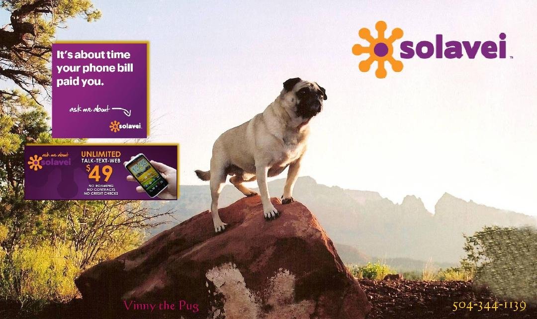 Vinny the Pug’s Solavei
So! What is Solavei? It is the world's 1st Social Commerce Network to create Economic Linkage between Mobile Service, Social Commerce and Social-Net technology. Solavei is the company that Mar
