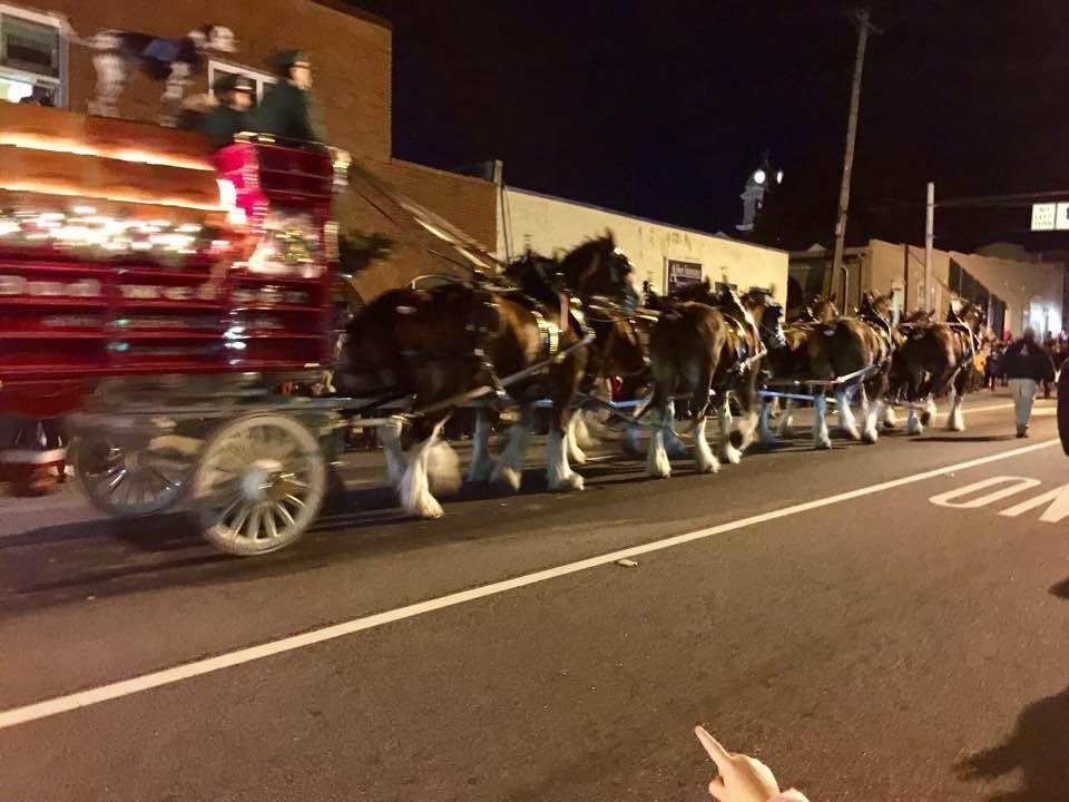 The Budweiser Clydesdales came to Lawrenceville, GA's Christmas.
They are so beautiful!