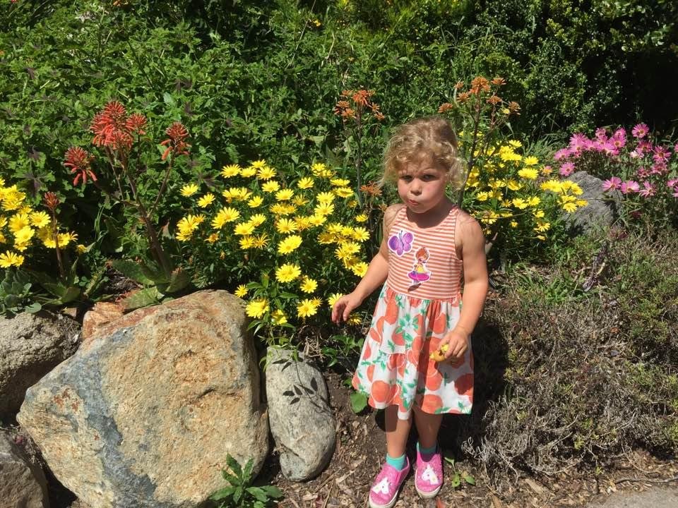 Sharon Stafford's album, Timeline Photos