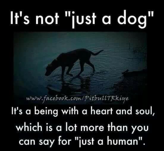 So true..