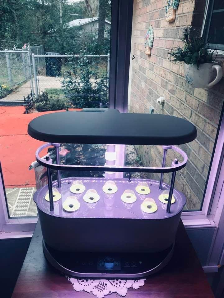 My AeroGarden ready for action