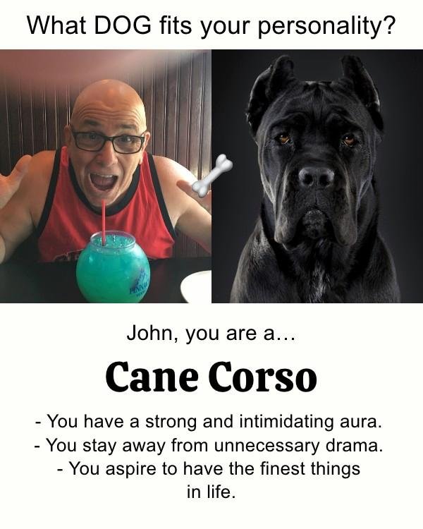 John Franceschini's album, Timeline photos