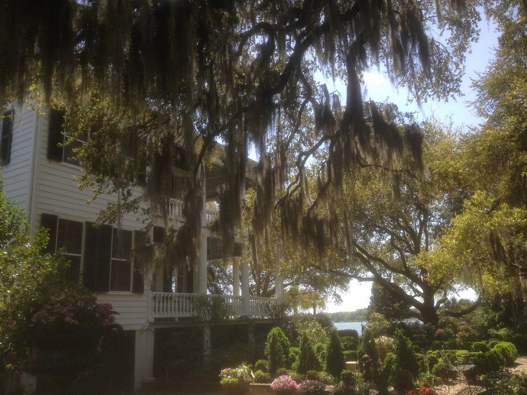 Southern Sensibility