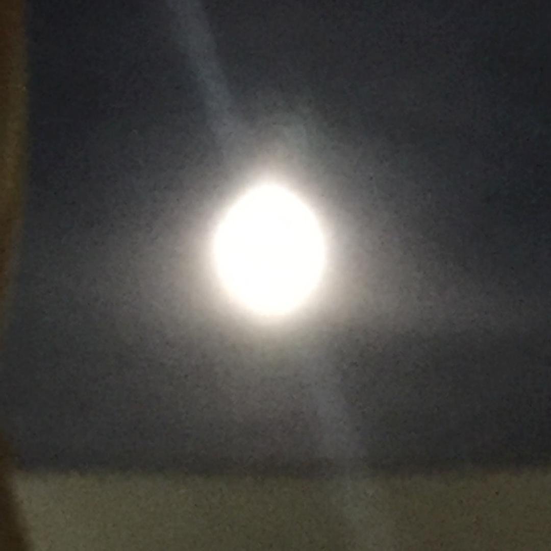 Moon over Miami!