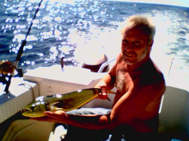 Chip's dolphin
