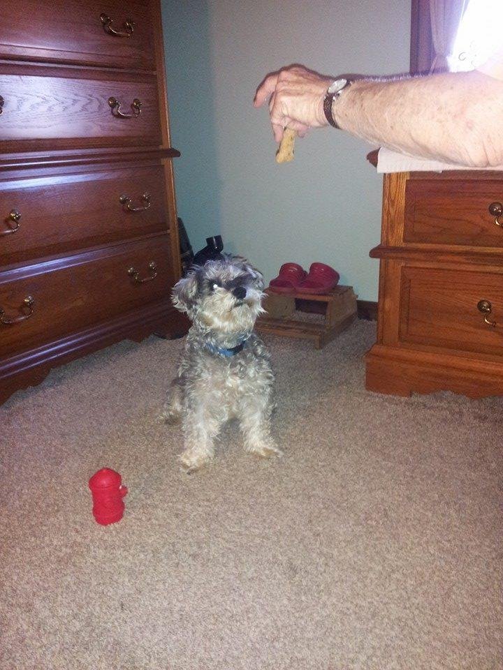Grandma feeding snacks again