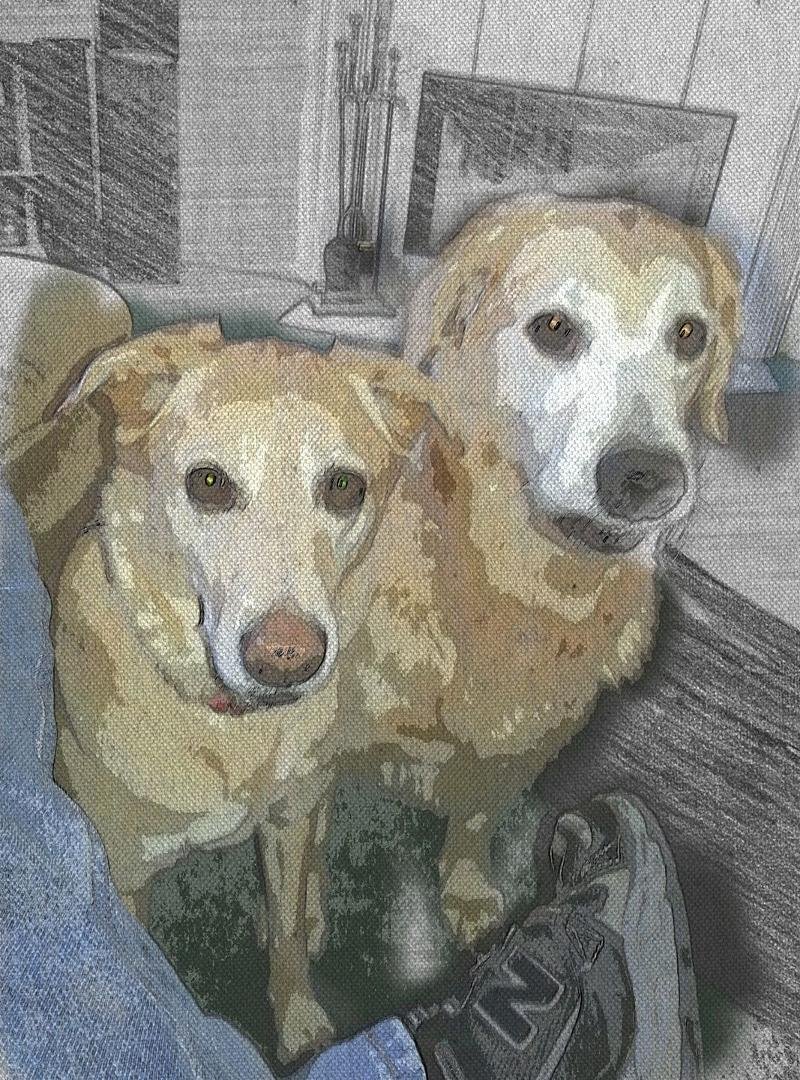 Please make the thunder go away