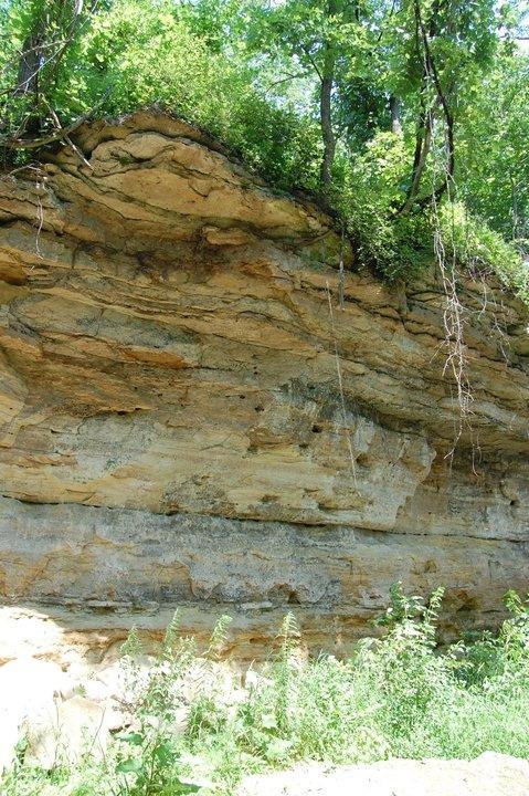 Catherine Reasoner's album, May 14, 2011