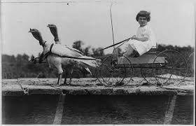 Happy Thanksgiving to all my Facebook friends!
