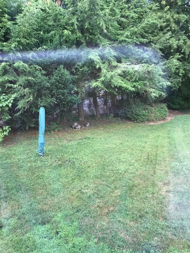 Took this through the window.