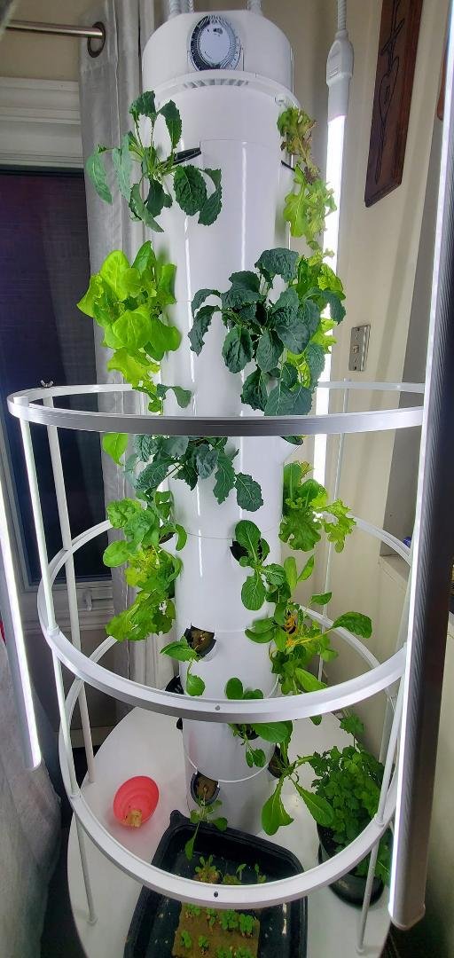 Growing well
Stevenbell.towergarden.com