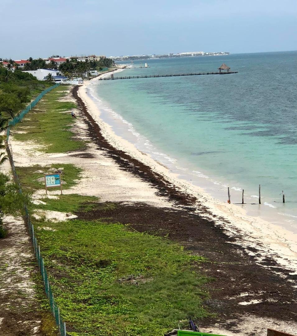 Looking north toward Cancun from the beach at Puerto Morelos