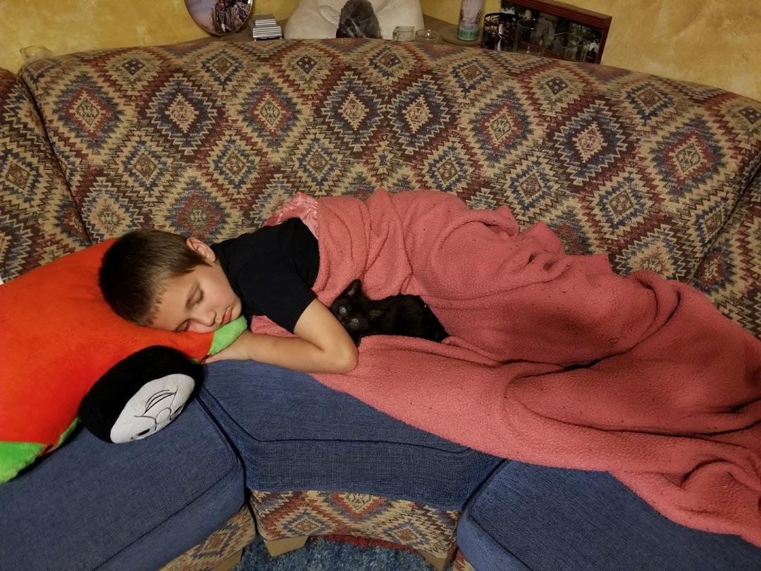 Oliver and our new kitten Stormi taking a snooze together last night.