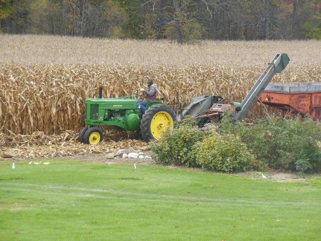 This is a 1956 John Deere tractor with a one row corn picker! Notice the heigt of our corn.