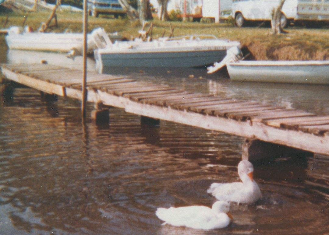 Mossy Cove Fish Camp on Lake Istokpoga