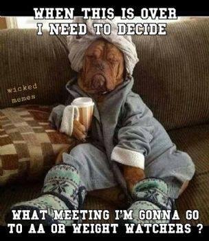 John Miles' album, Timeline Photos