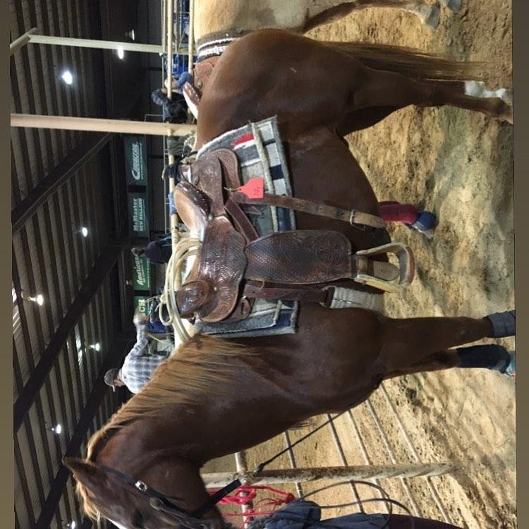 Check out press release on Google.  Rodeo One - R1
Check out this statement