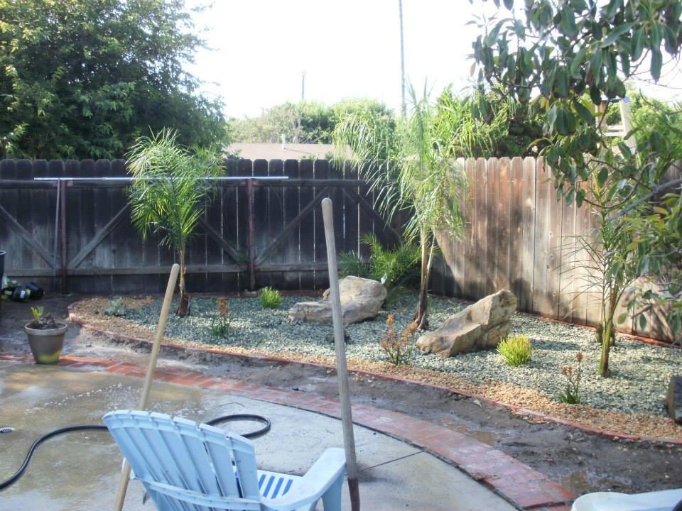 Dan McNamee's album, From old to New, (Backyard)