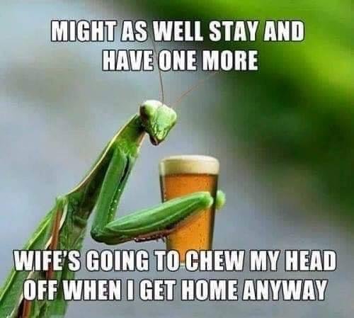 Jim Moore's album, Timeline Photos