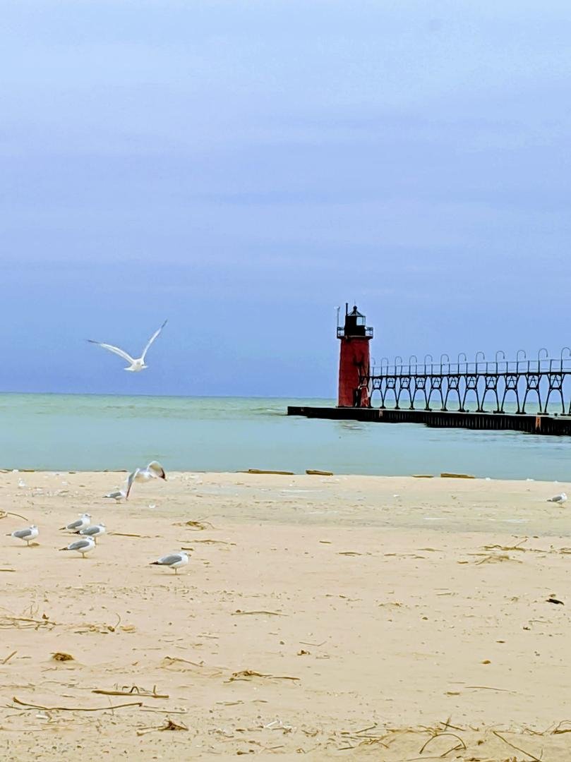 Yesterday at South Haven, almost looks like summer, but certainly didn't feel like it!