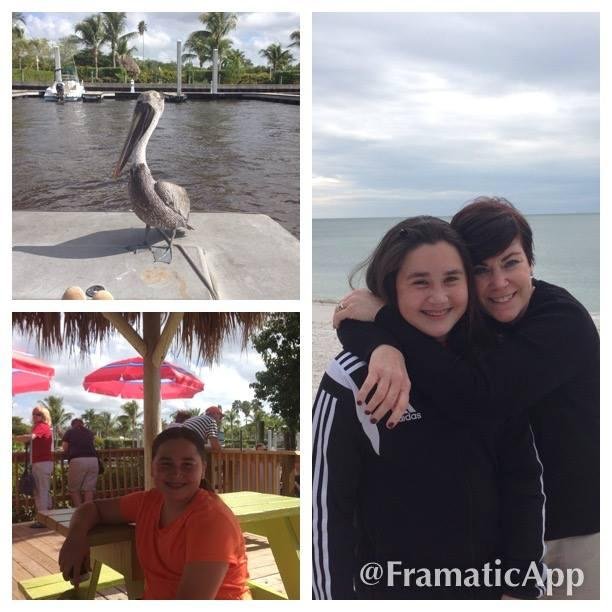 Wonderful pics of Florida 🌴💚