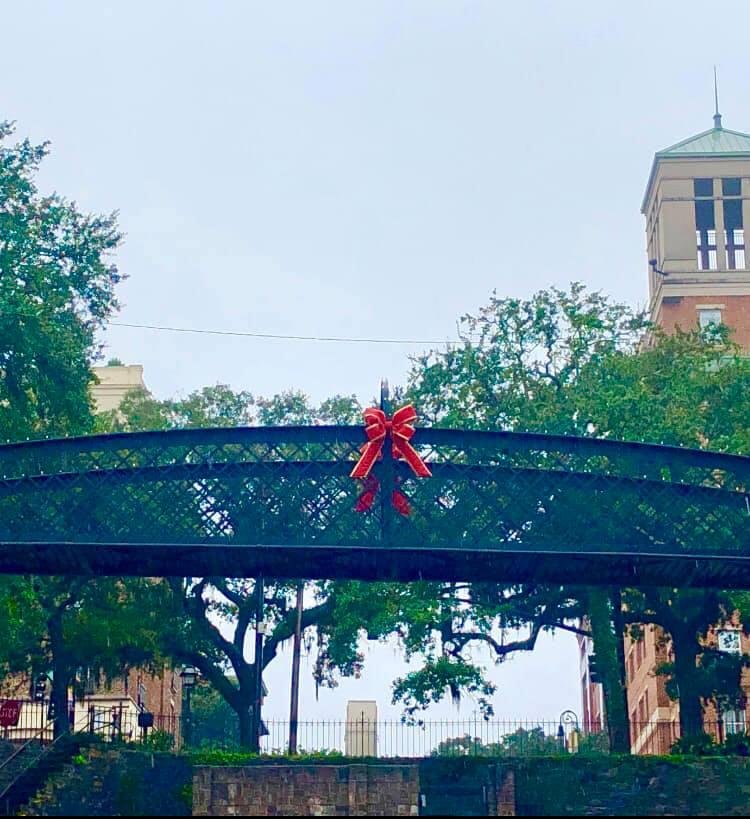 I’m dreaming of a green Christmas