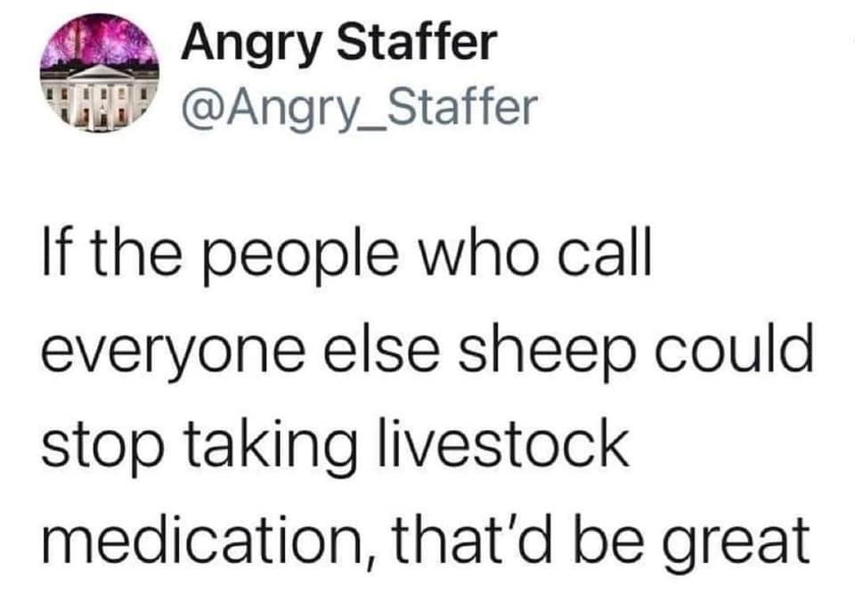 Silly fools.