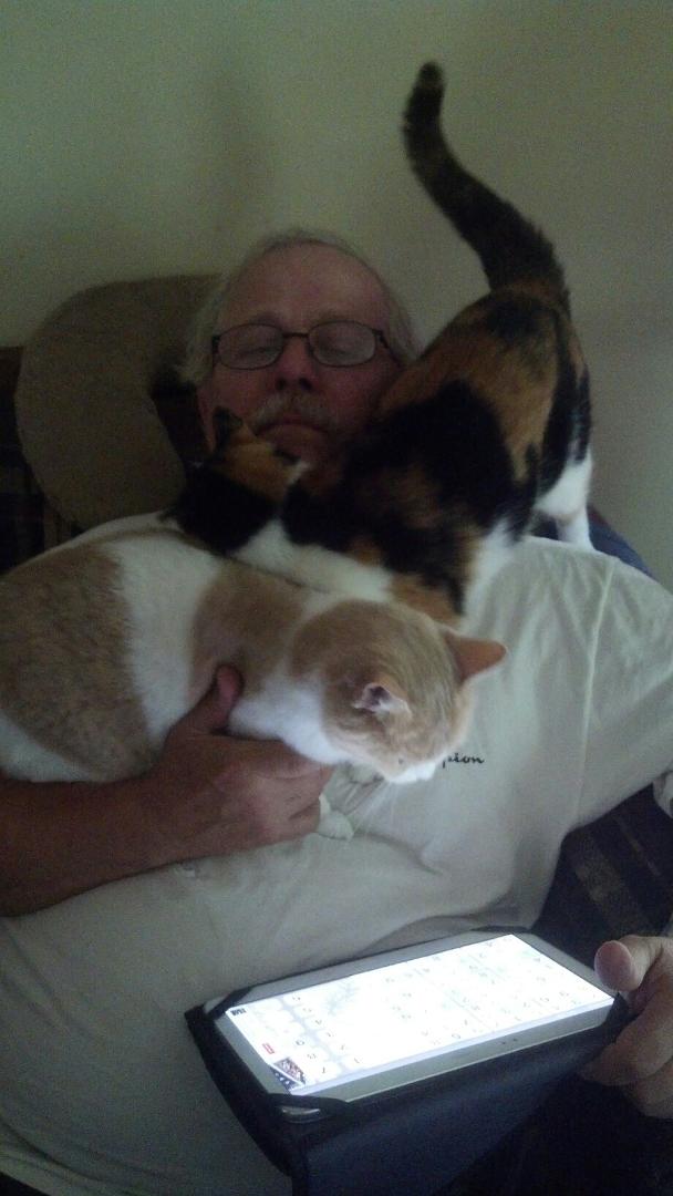 Techy cats