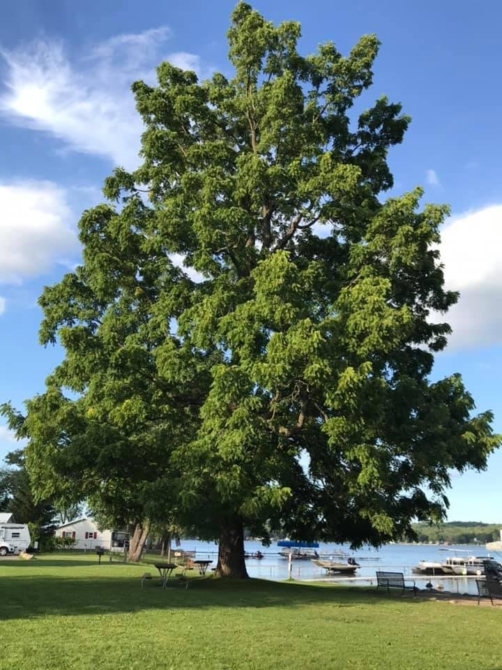 Long Point