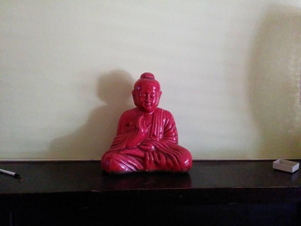 2 days to go. This guy and my wind chimes will be the last of my friends to depart.