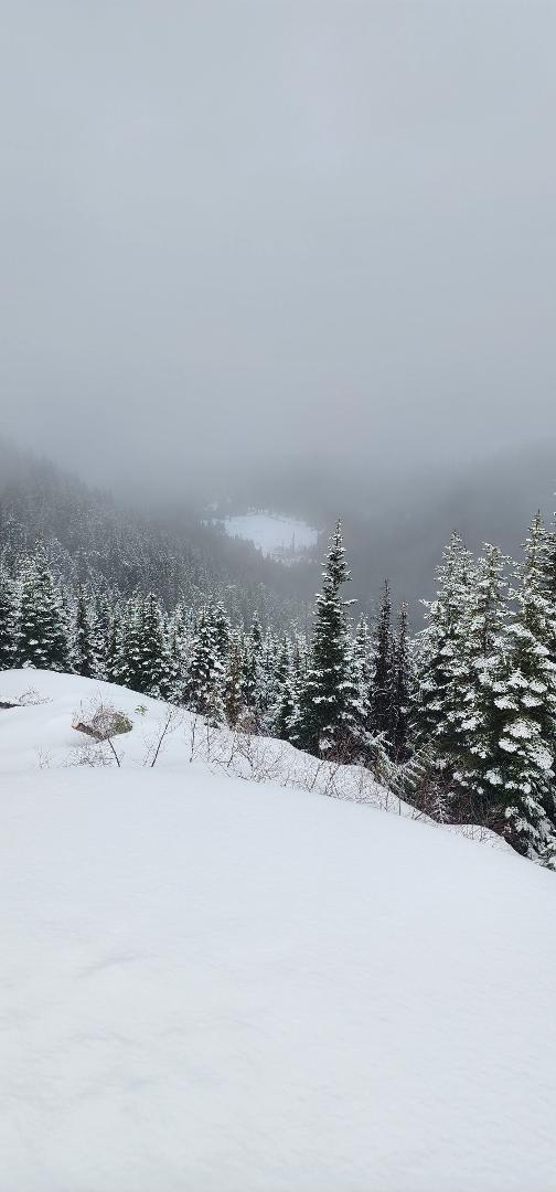 Wolf Mountain.