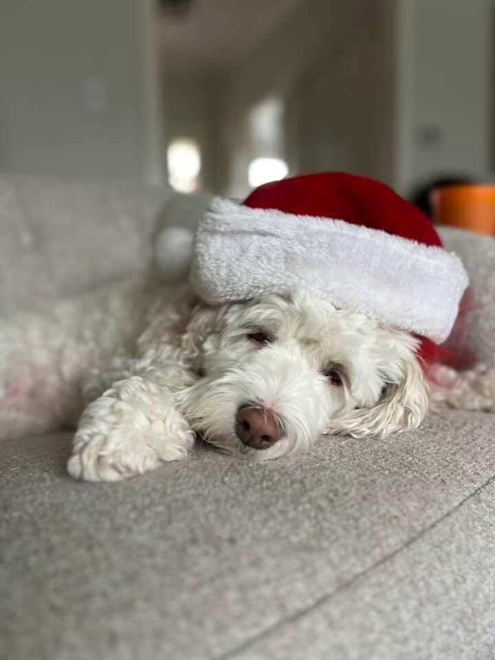 Merry Christmas to all!
Love, Jessie and the Hanrahans
