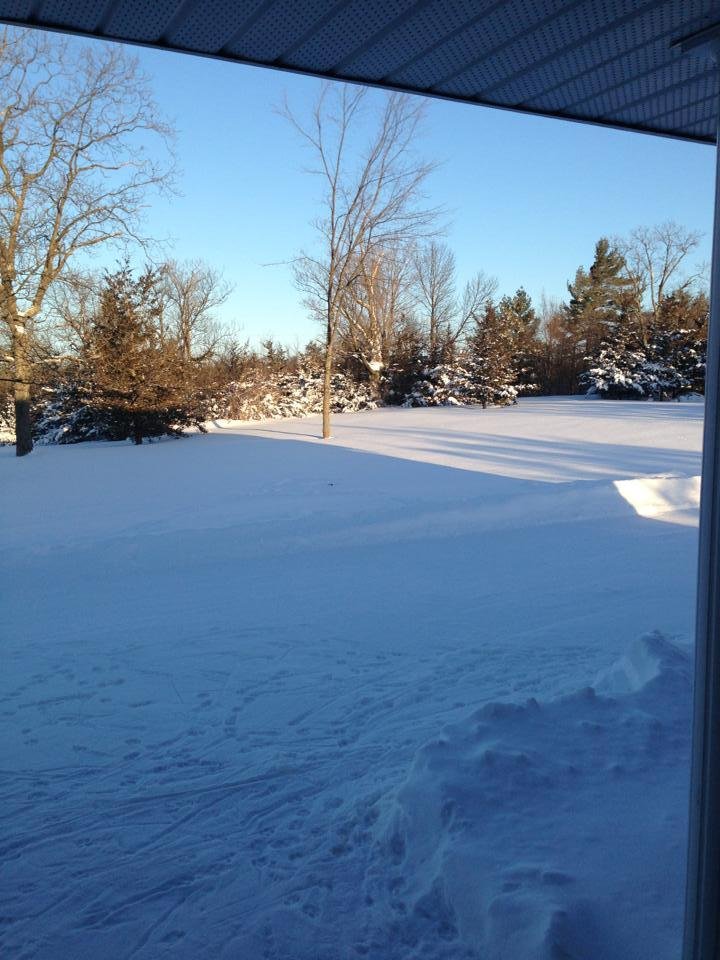 Another winter wonderland of part of front yard