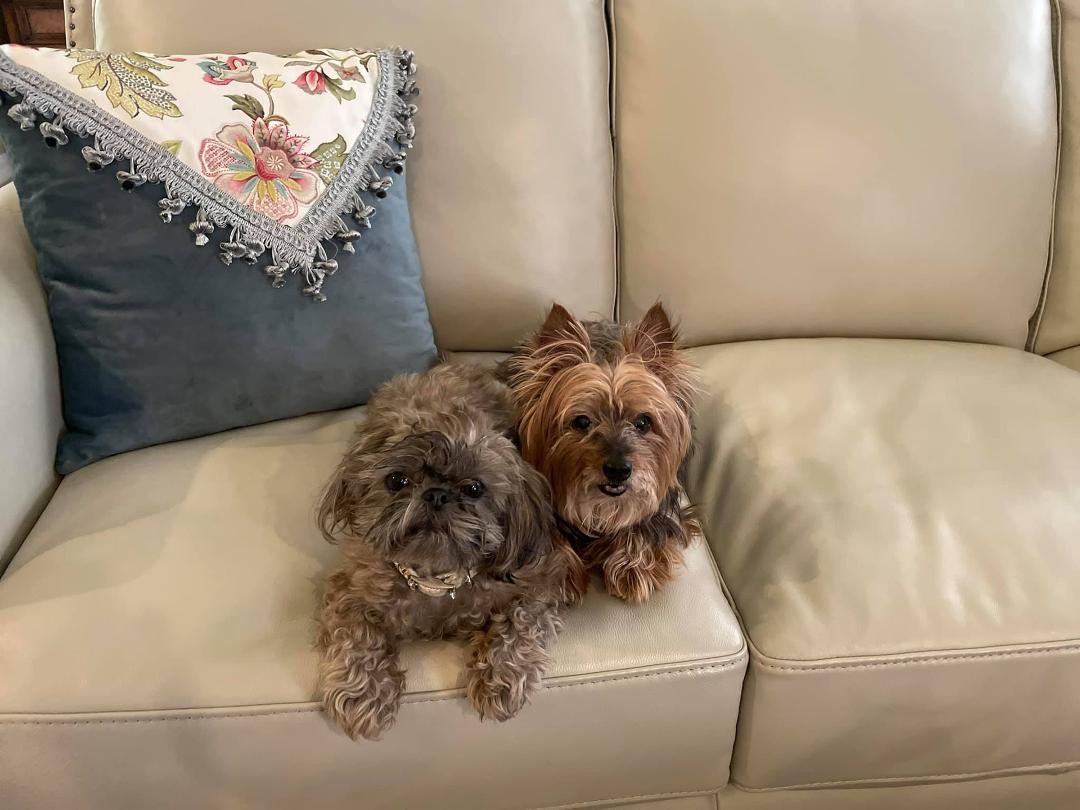 Sherrie Slack's album, Mobile uploads