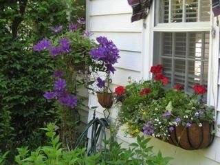 Ellen Lett's album, pictures