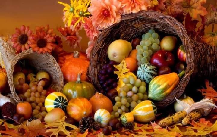 Blessings and Happy Thanksgiving to EVERYONE !!!!!!