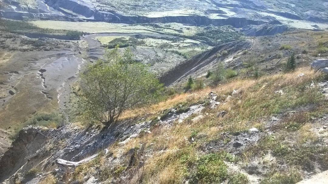 Went to Mt Saint Helen.