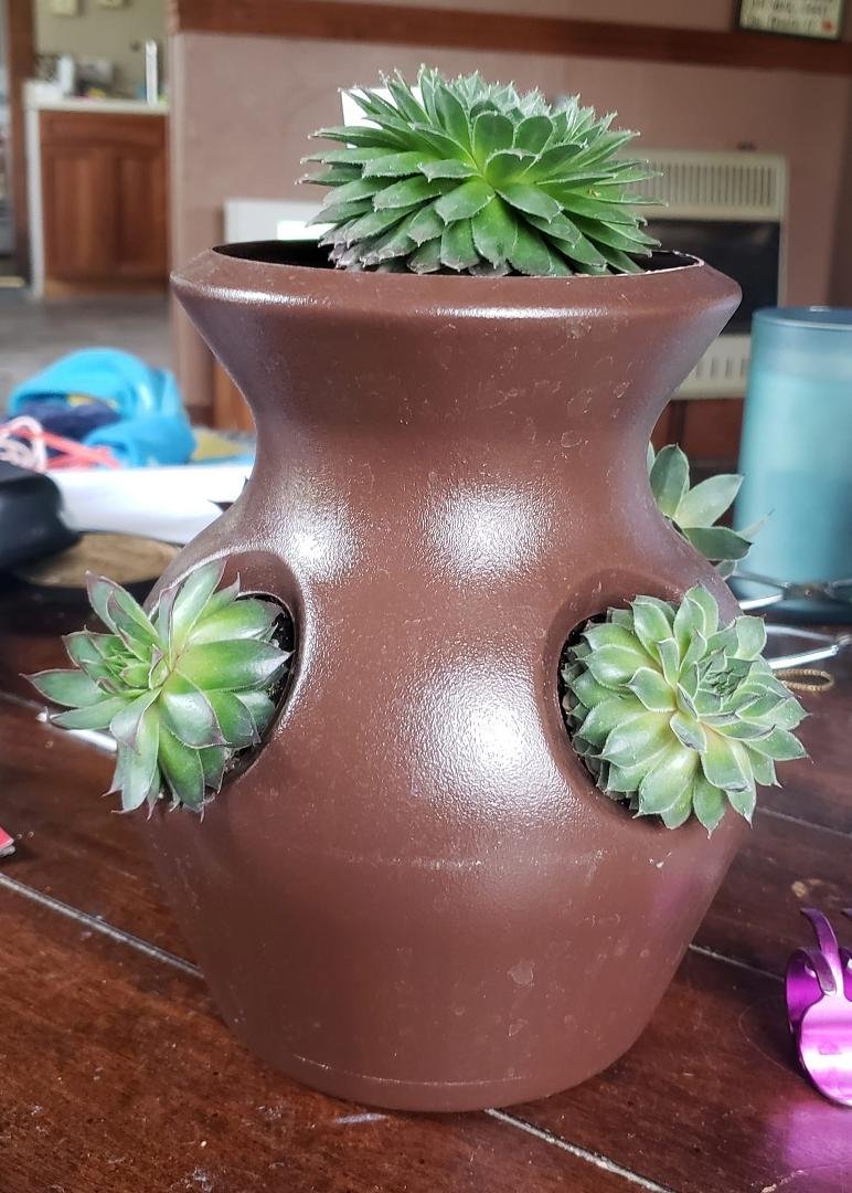 Thank you Michelle for the beautiful  plant. !
