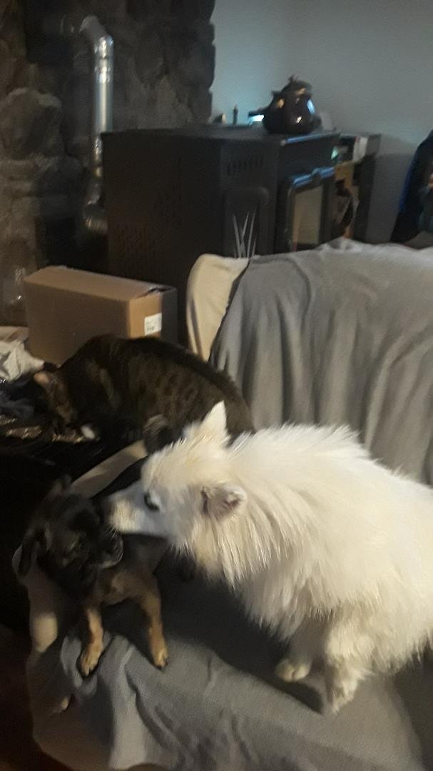 Making new friends.
