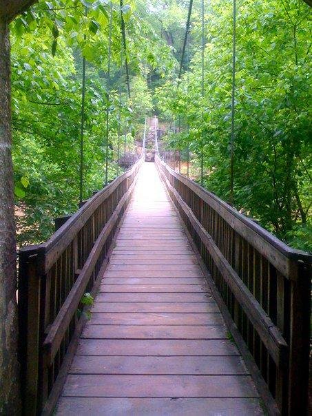 The Suspension Bridge