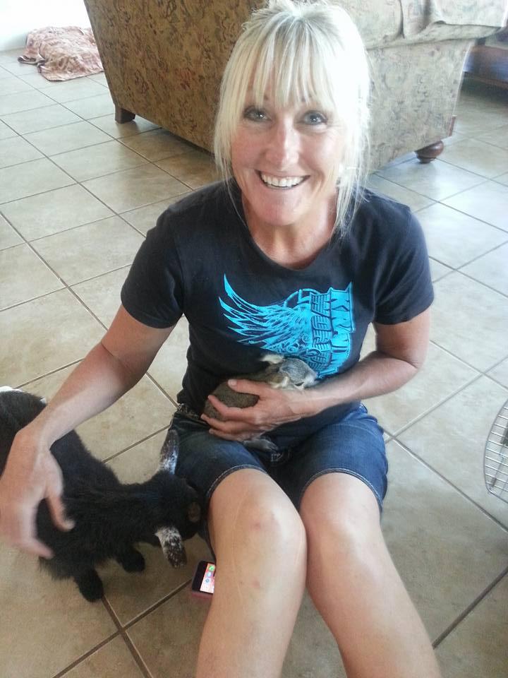 Brenda got a new critter. A padagonian kavy just 2 days old.
