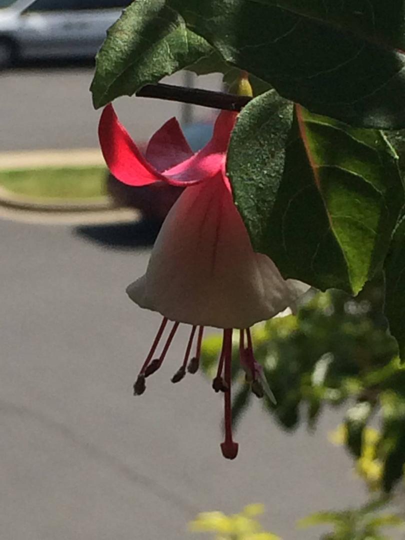 Brian Barnett's album, Timeline photos