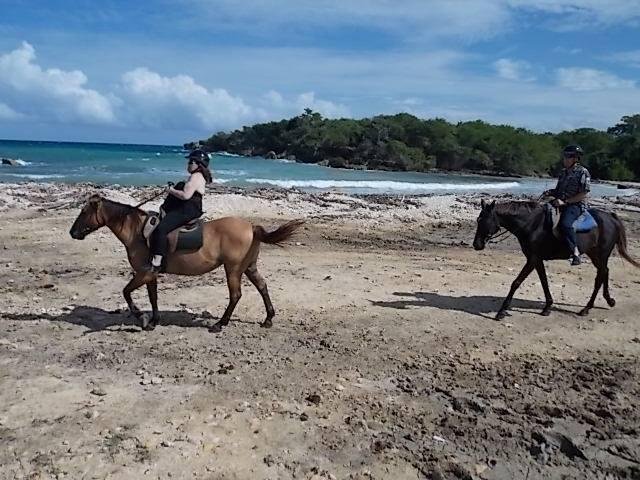 Terence Alan Hofer's album, Timeline photos