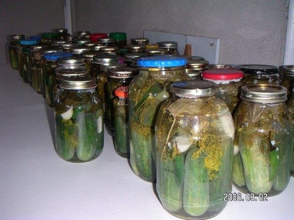 Part of the 108 jars of Dill Pickles 2009