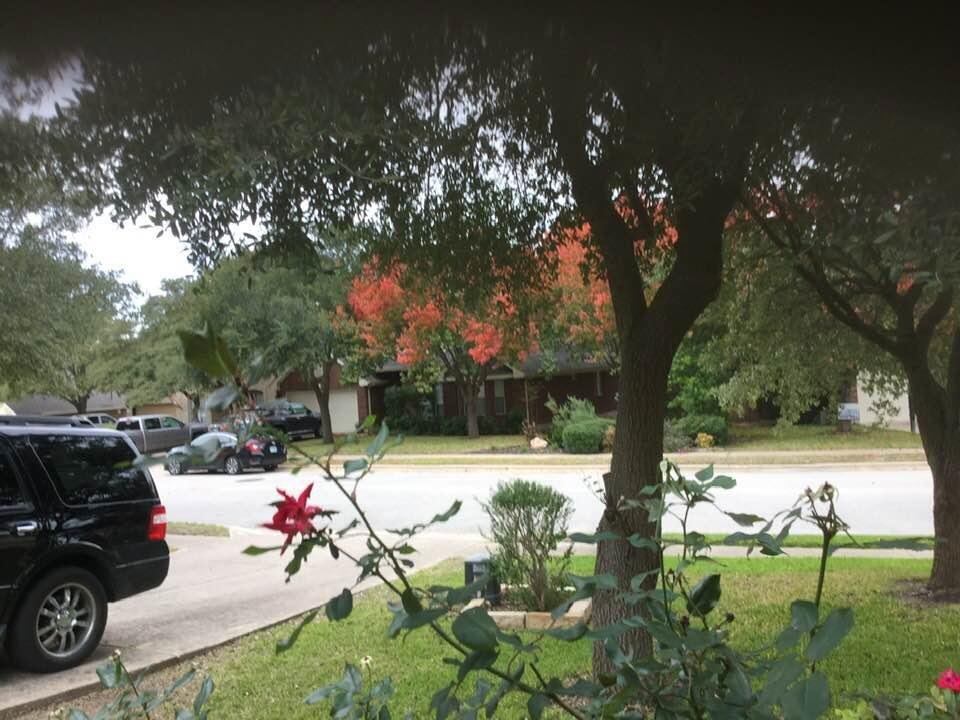 It’s Fall in Round Rock, Texas