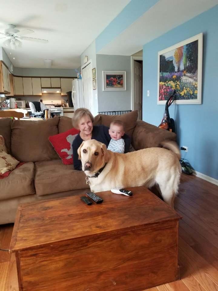 Barbara Stern's album, Mobile Uploads