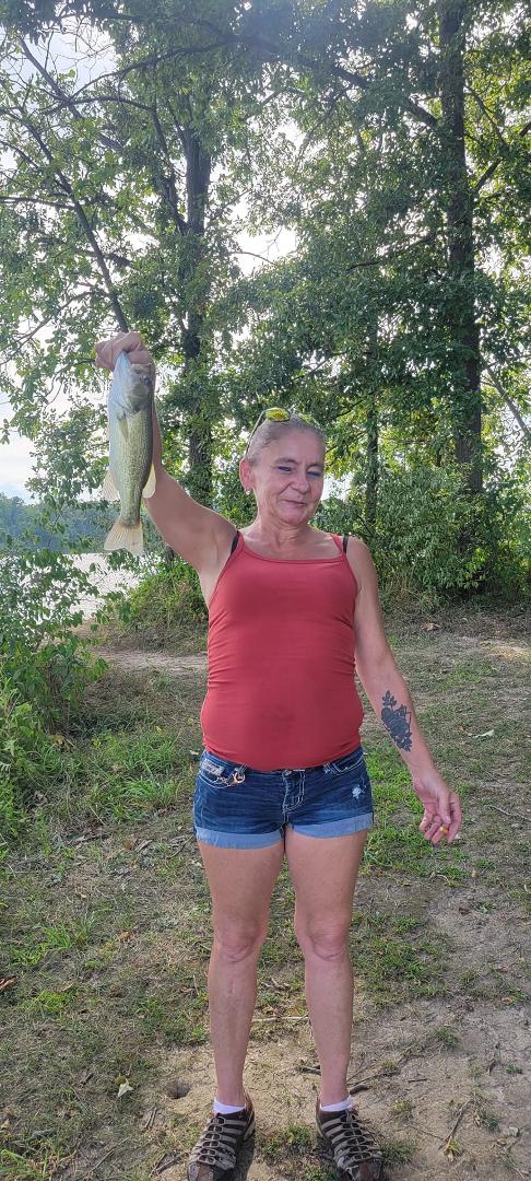 Candace Shaffer's album, Mobile uploads